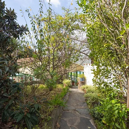 Holiday home La Palmera - Santa Brigida, 3 Santa Brigida (Gran Canaria)