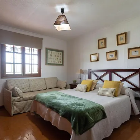 La Palmera - Santa Brigida, 3 Holiday home Santa Brigida (Gran Canaria)